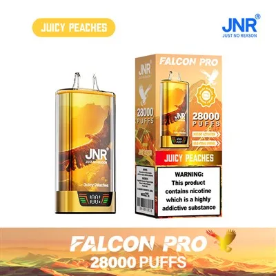 Jnr Falcon Pro 28000 Puffs Vape